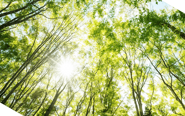 May 2026 | A Euphoric Journey